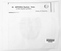 Image Associated With the Occurence
